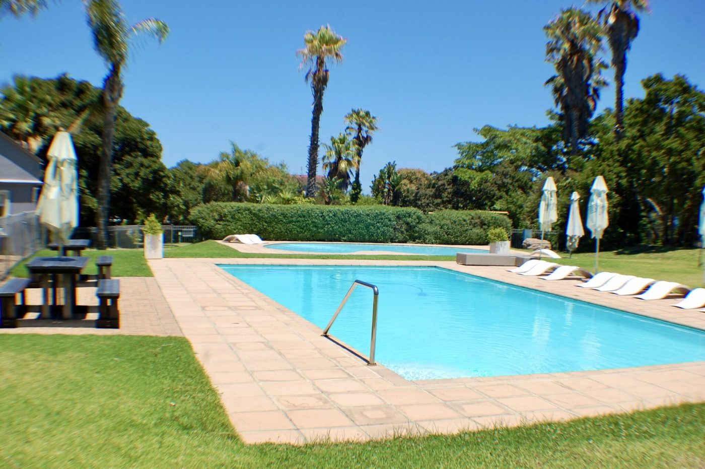Outdoor swimming pool with sun loungers, umbrellas and palm trees on a lawn at a Plettenberg Bay self-catering estate