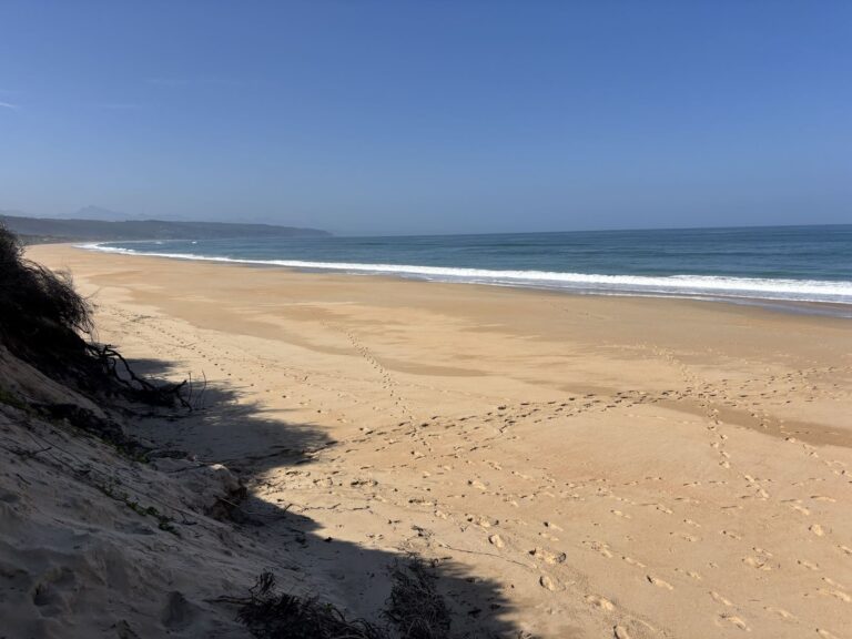 Keurboomstrand looking west from the foot of the dune path, empty sand curving toward the Tsitsikamma mountains